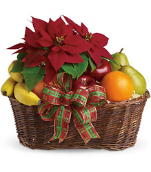 Fruit and Poinsettia Basket Fruit and Poinsettia Basket